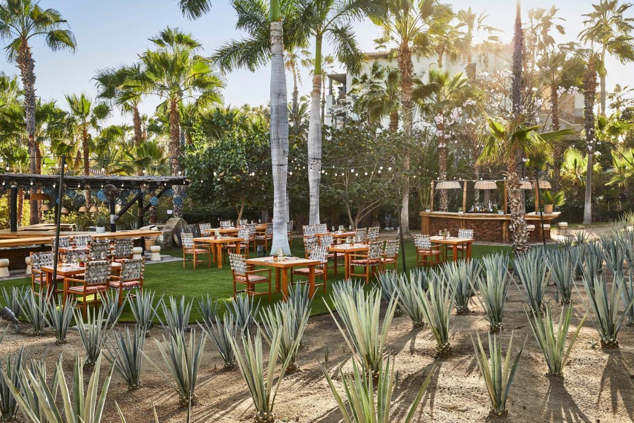 Esperanza, Auberge Resorts Collection Cabo San Lucas Kültér fotó
